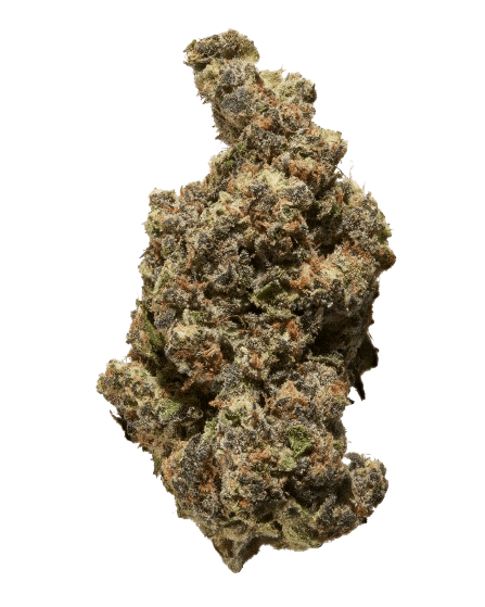 Gelato